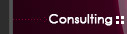  Consulting 